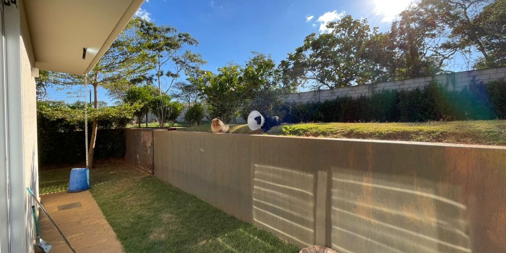 WhatsApp Image 2025-07-01 at 10.39.32